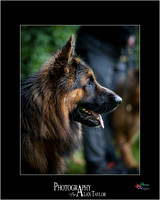 _MG_2690-ME