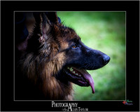 _MG_2700-ME