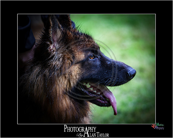 _MG_2700-ME