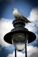 Landscapes and architecture from Whitby UK
