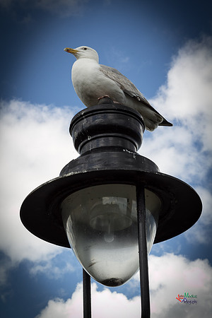 Landscapes and architecture from Whitby UK