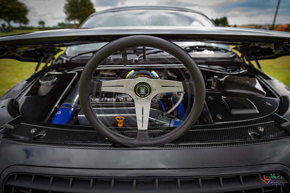 Photographs from Pistons in the Park event