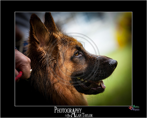 _MG_2702-ME