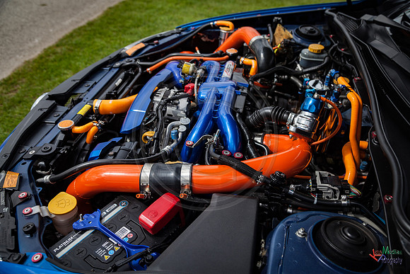 Photographs from Pistons in the Park event