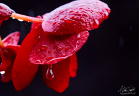 Sample image from commercial photographer in Lincoln