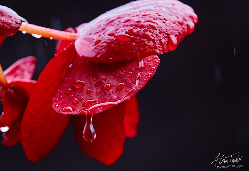 Commercial photographer, product photographer, products, photographer