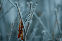 Sample image from commercial photographer in Lincoln