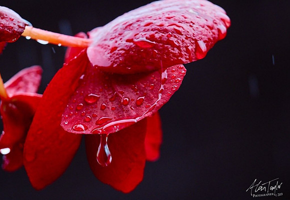 Online Prints | Kapture Media Photography | Lincoln, UK
