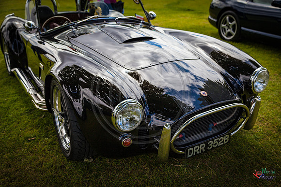 Photographs from Pistons in the Park event