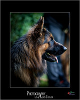_MG_2689-ME