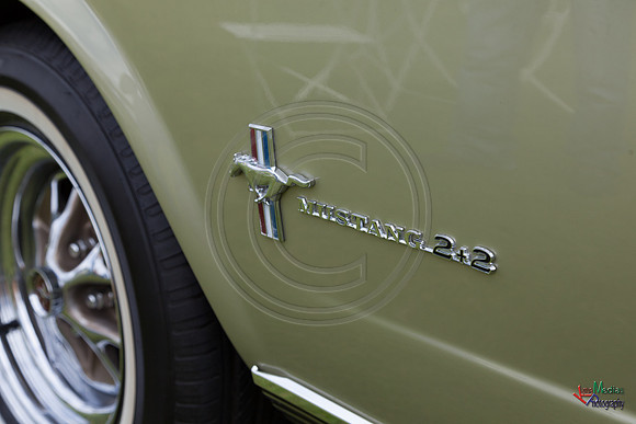 Photographs from Pistons in the Park event