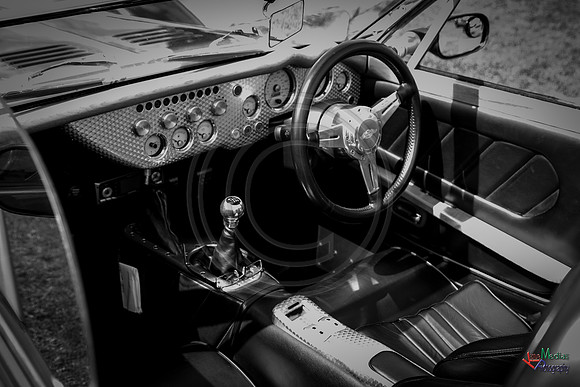 Photographs from Pistons in the Park event