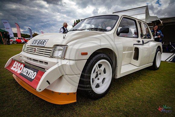 Photographs from Pistons in the Park event