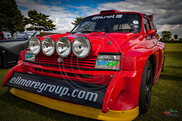 Photographs from Pistons in the Park event
