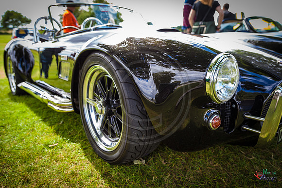 Photographs from Pistons in the Park event