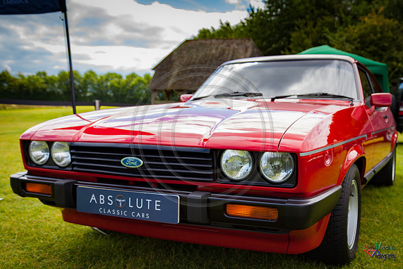 Photographs from Pistons in the Park event