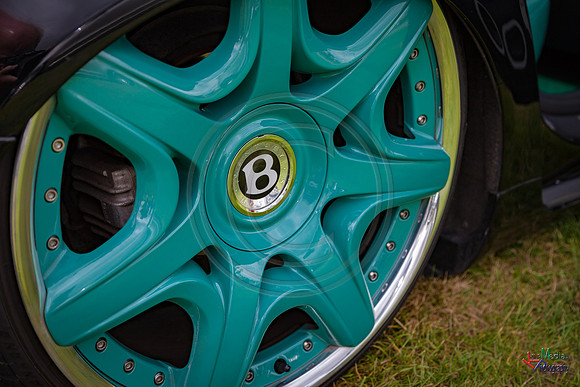 Photographs from Pistons in the Park event