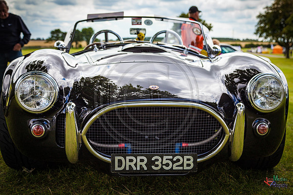 Photographs from Pistons in the Park event