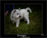 _MG_2617-ME