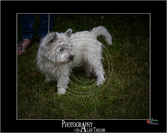 _MG_2617-ME