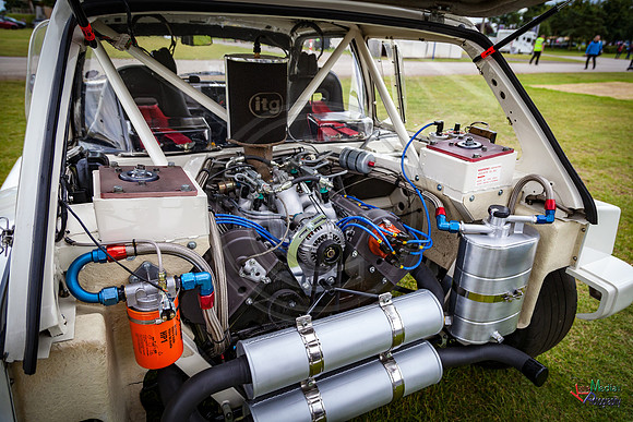 Photographs from Pistons in the Park event
