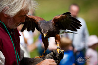 Castle Knights event in Lincoln UK 2018
