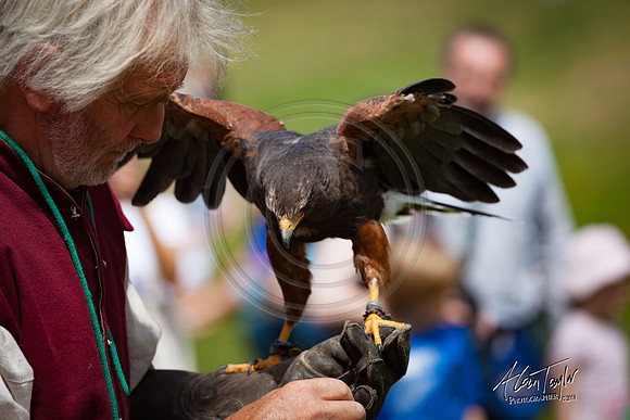 Castle Knights event in Lincoln UK 2018