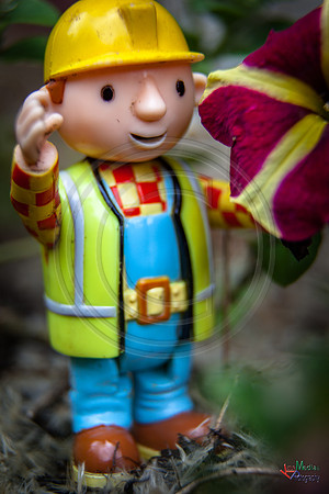 Bob_Builder_4