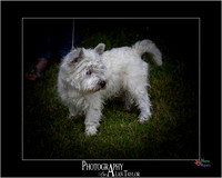 _MG_2616-ME