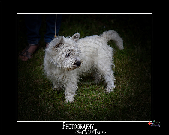 _MG_2616-ME