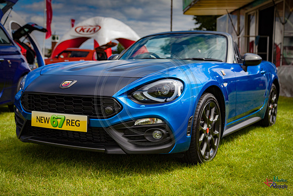 Photographs from Pistons in the Park event