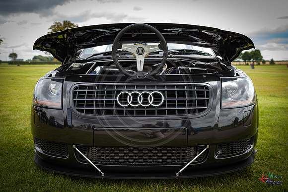 Photographs from Pistons in the Park event
