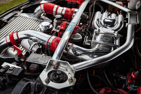 Photographs from Pistons in the Park event