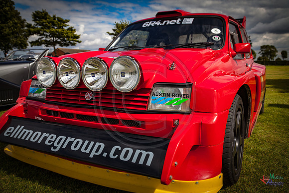 Photographs from Pistons in the Park event