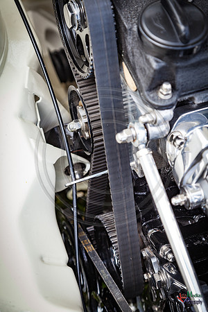 Photographs from Pistons in the Park event