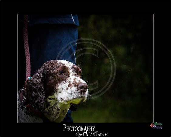_MG_2718-ME-2