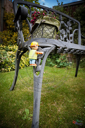 Bob_Builder_12